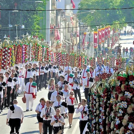 Tomarhousing - 37 Old Town *